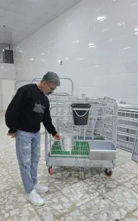باکس گوساله شیری