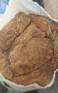 برگ قرمز