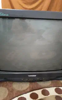 تلوزیون
