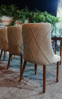 صندلی چستر