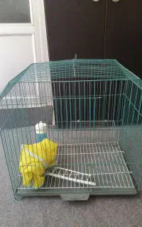 قفس پرنده