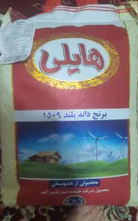 برنج هایلی