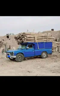 خرید انواع درخت برش چوب در آوردن ریشه کته مو