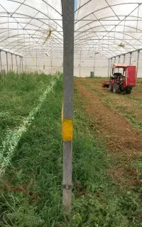 شخم و بستر سازی گلخانه تراکتور کمر شکن 950