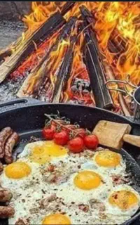 استخدام اشپز