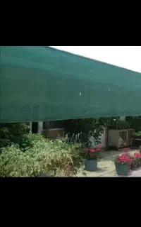 تور۹۰درصدی سبزرنگ