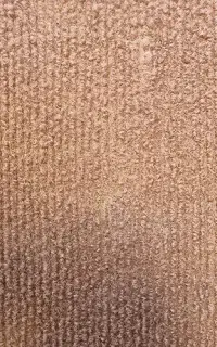 موکت عرض سه طول ۳۰ درحد نو