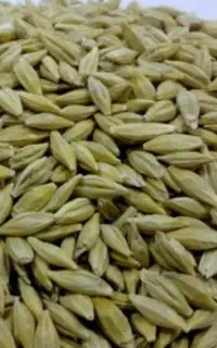 جو  خارجی
