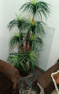 گل مصنوعی