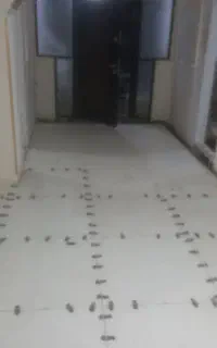 نیازمند برش کار برا کاشی و سنگ کاری