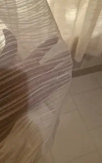 وسایل منزل درحدنو/ نو