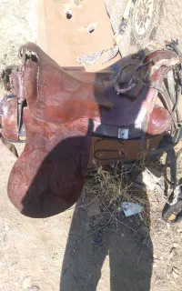 زین اسب با دهنه