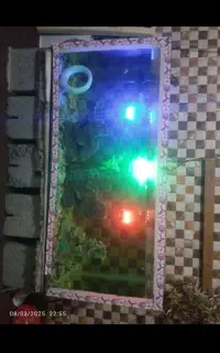اکواریوم بزرگ