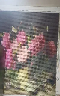 پرده زبرا