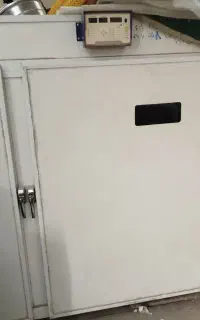 دستگاه جوجه کشی جویبار ۳۰۰۰عددی