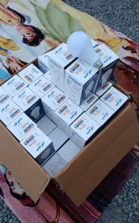 لامپ منیر نور آفتابی 10 کارتن پلمپ