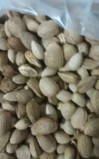 بادام