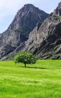 همسفر شمال تا مشهد از کرمانشاه