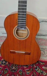 گیتار و کیفش نو
