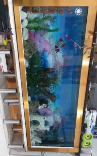 اکواریوم