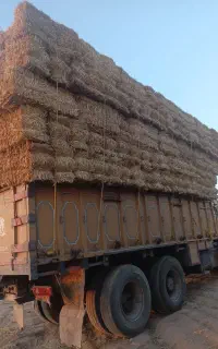 پرس کاه شمال درجه یک