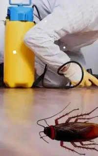 سمپاشی حشرات، سم پاشی ۱۰۰٪ دارای مجوز