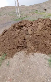 کود گوسفندی