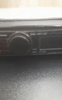 ضبط پایونر