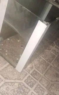 اکواریوم