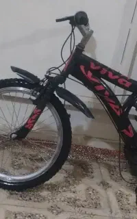 دوچرخه 20
