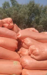 کاه