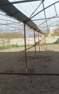 اسکلت گل خانه ای