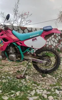 اسب مادیان معاوضه کادیکس