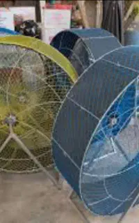تردمیل مرغ لاری و حیوانات خانگی