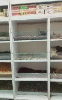 استخدام فروشنده