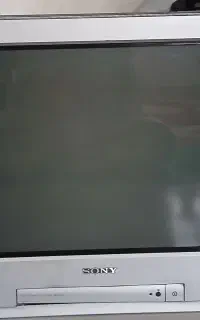 تلویزیون