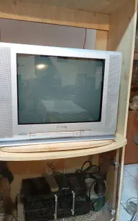 تلویزیون