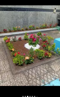 خدمات باغبانی گل کاری سراسر ایران