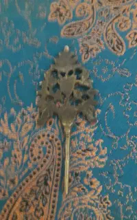 میخ وسرمه دان