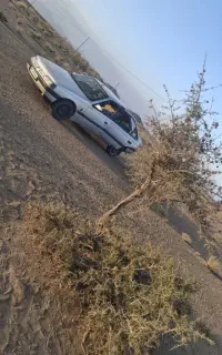 پژو 405