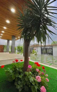 سیمکارت دائمی ۰۹۱۱.۵۰۰.۹۹.۱۶