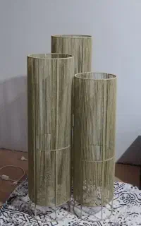 کنار سالنی ولوستر رافیا