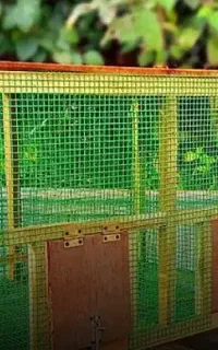 قفس لاری با هر اندازه