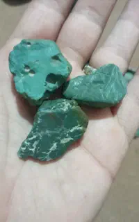 سنگ جاسپر یشم باباقوری شجرمهره  انگشتر تسبیح  داز
