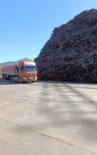 شاگرد تریلی