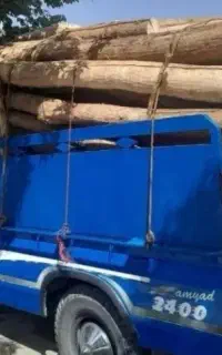 فروش چوب 4.5 متری
