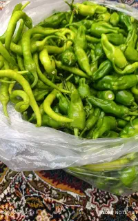 فلفل برای ترشی وخیارشور