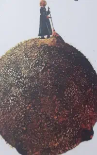 مدل شازده کوچولو