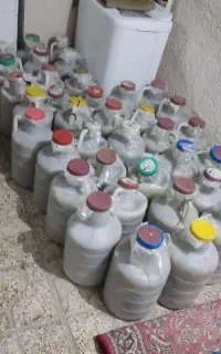 خیارشور