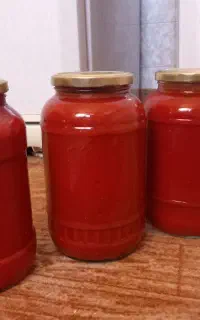 رب خانگی